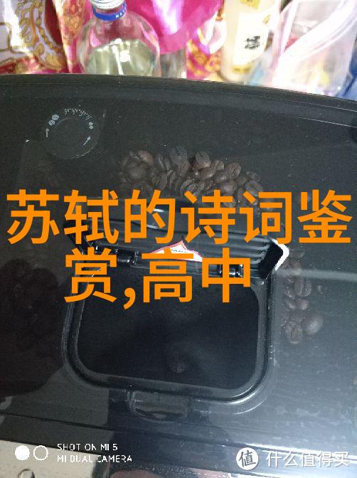 特写荷叶的唯美诗句