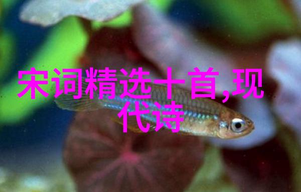 欣赏北京风雷京剧团渔夫恨