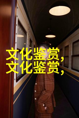 赵萱全球流动视野下的民族国家转型