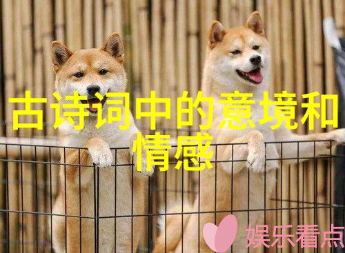 枫红映幽林侧听竹笛声诗歌