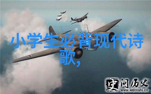 还未流逝的时间诗歌